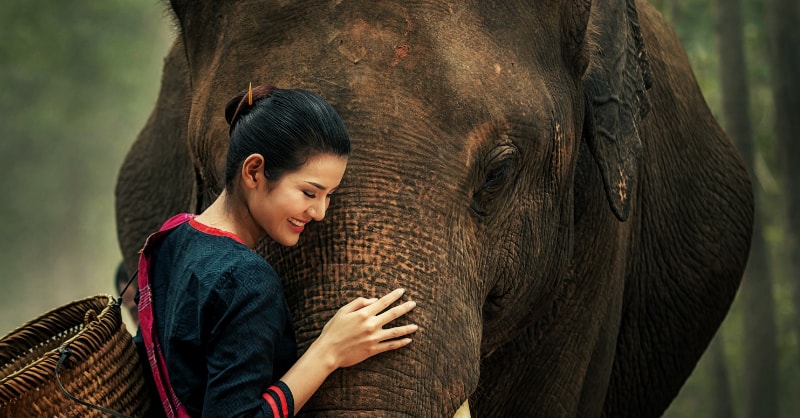 Udon Thani woman with elephant